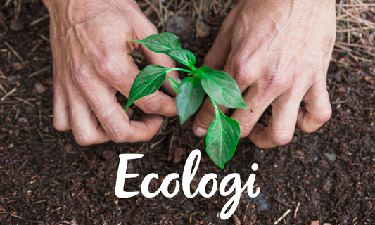 PLANTING A TREE WITH EVERY PURCHASE